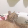 ずち子