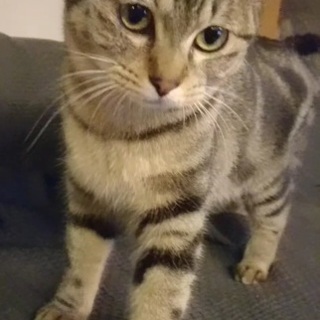 ☆大人女子☆不妊手術済み☆