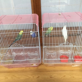 どうもありがとうございました