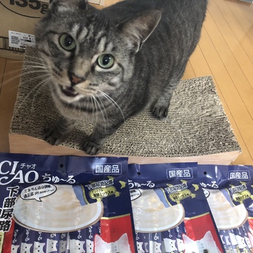 欲しいものリストからいただきました！