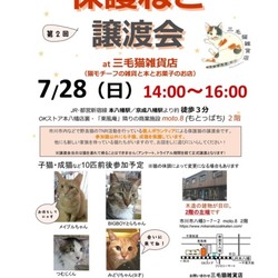 第2回保護ねこ譲渡会at 三毛猫雑貨店