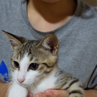 かまってちゃんな女の子