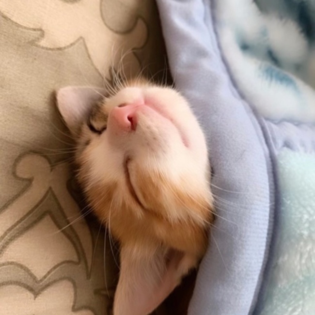 あやぴ0124のカバー写真