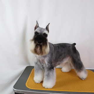 とっても可愛いしゅなの女の子