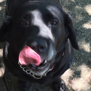 性格の良い熟女、ティナちゃん