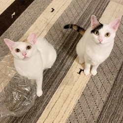 こんなに大きくなりました！