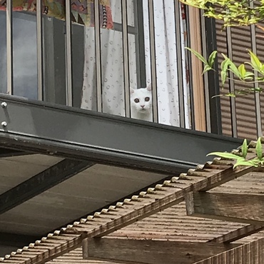 めっちゃ見てるぅぅぅ