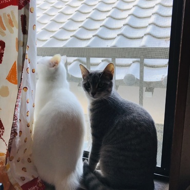 今日も仲良し！