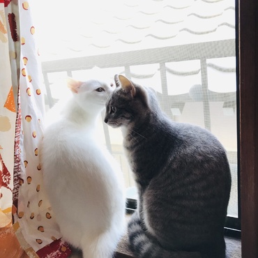の写真