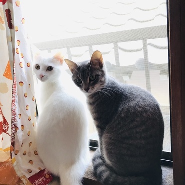 の写真