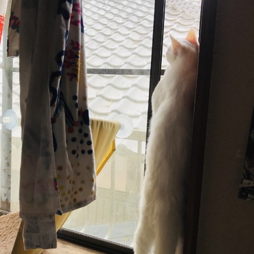 あら、ながーい