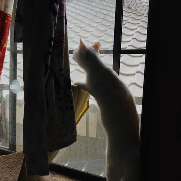 の写真