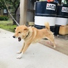 の写真