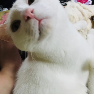 の写真