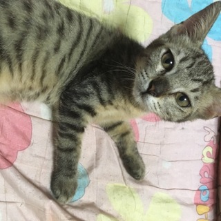まったり  ちゃちゃ