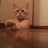紋次郎