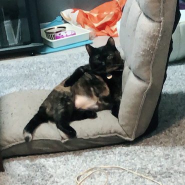 の写真
