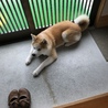 の写真