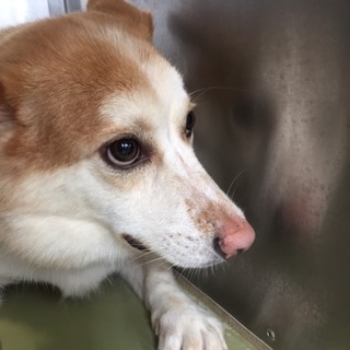 怖くて小さく固まっているモナちゃん