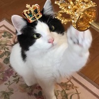 パンくん