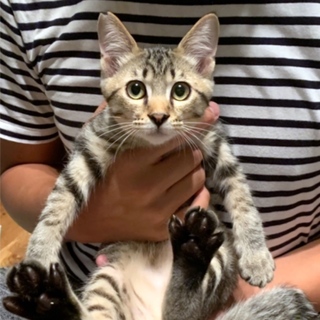 スリゴロ可愛すぎ「マルコ」くん♡