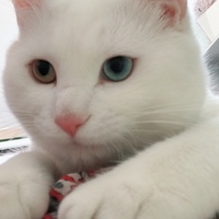 ユーニ