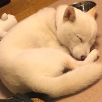 なつ
