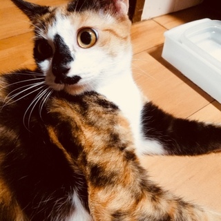 人なつっこく可愛い子(^^)