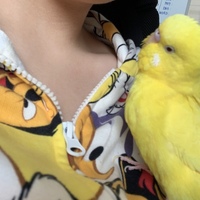 エヴァ
