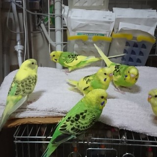 よろしくお願いいたします(^^♪