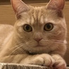 の写真