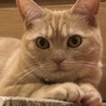 jenieさん