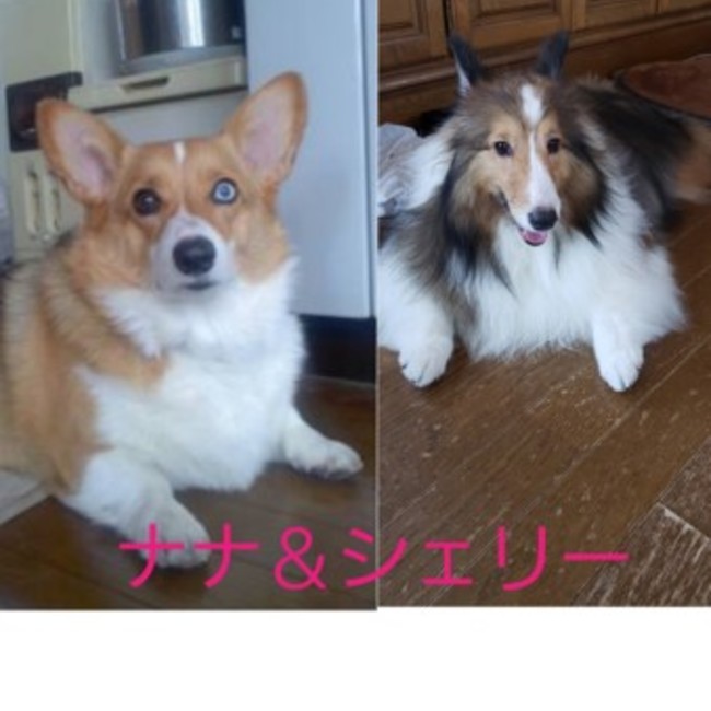 ひさちママのカバー写真