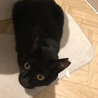 mumu