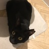 mumu