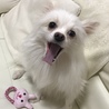 あくび中(*^O^*)