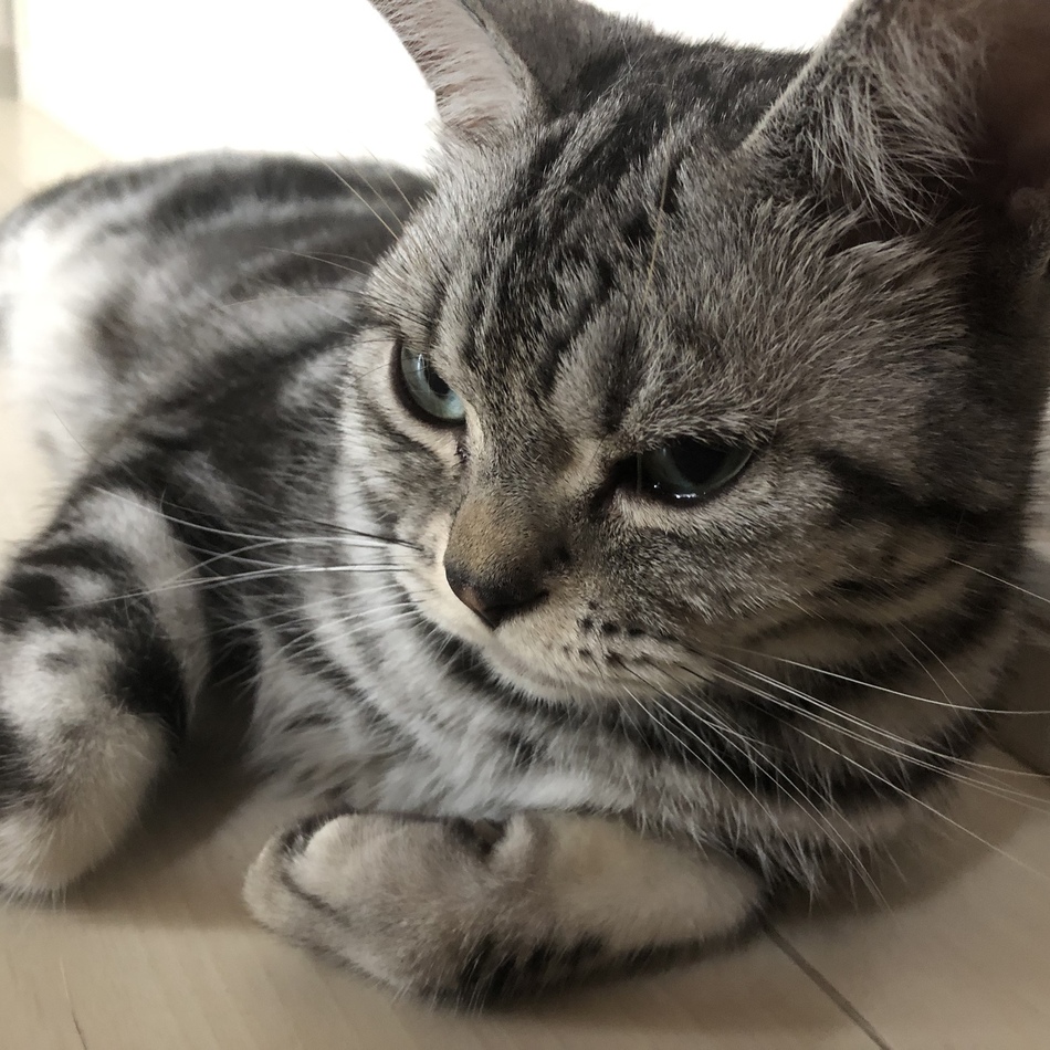 ユズ君のカバー写真