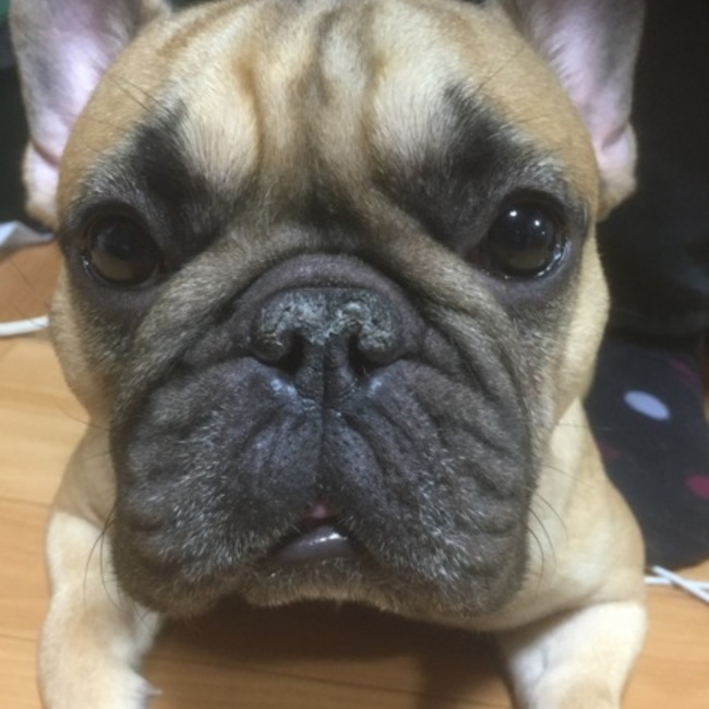 まさえだのカバー写真