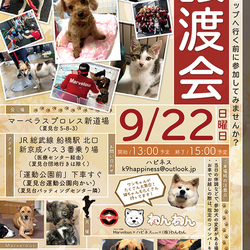 marvelous協賛譲渡会