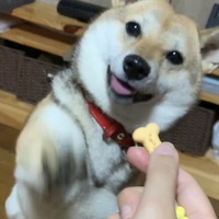 新井こうめ