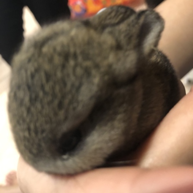 えまなおのカバー写真