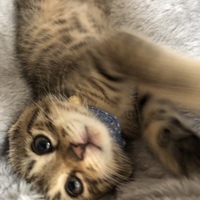 れお