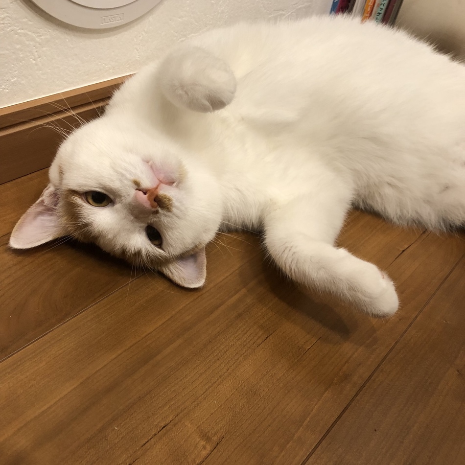 ぐりのカバー写真