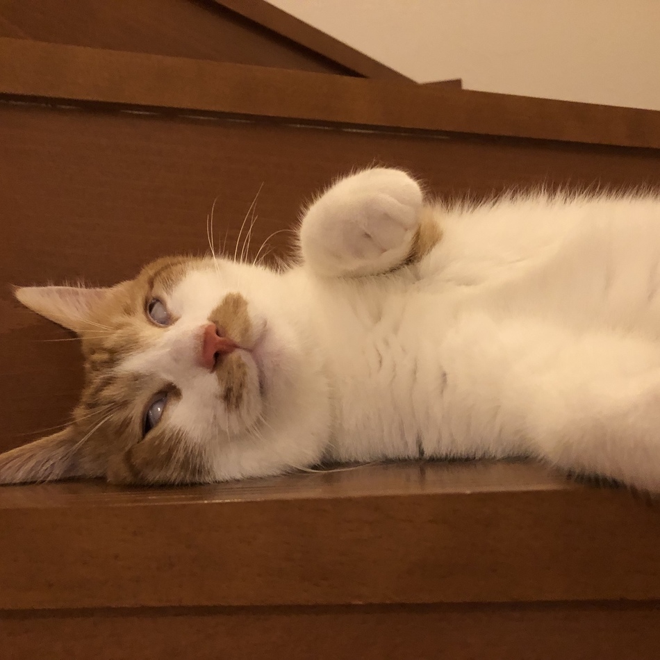 ぐらのカバー写真