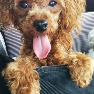 素敵なご縁を頂きました