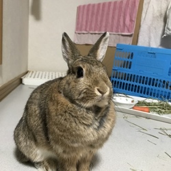 2歳になりました️