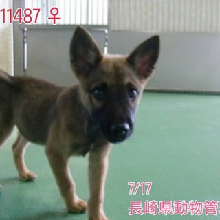 里親様決定しました！