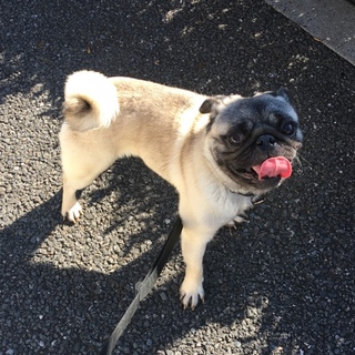 決まりました。