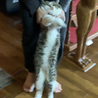 りんたろちゃん