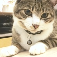 うり